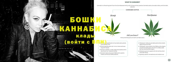 стаф Кулебаки