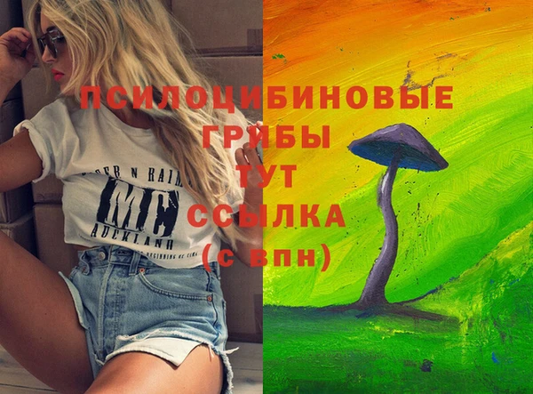 apvp Ладушкин