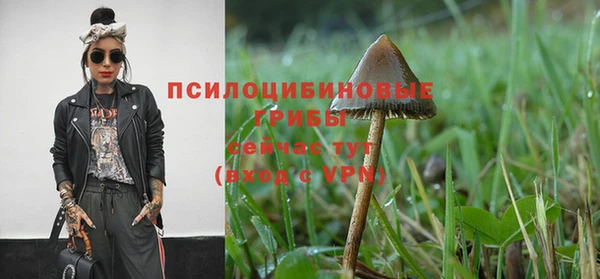 крисы Кукмор