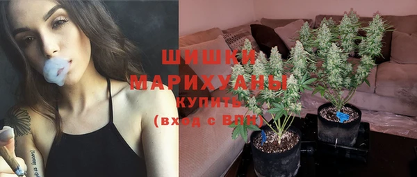 крисы Лабытнанги