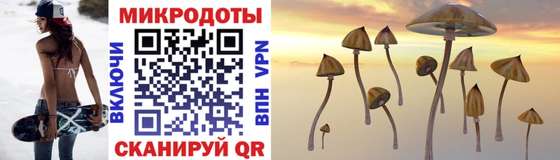 Купить закладки  Урус-Мартан  Галлюциногенные грибы GOLDEN TEACHER 