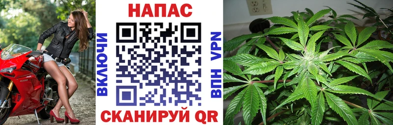 Купить  Урус-Мартан  Шишки марихуана OG Kush 